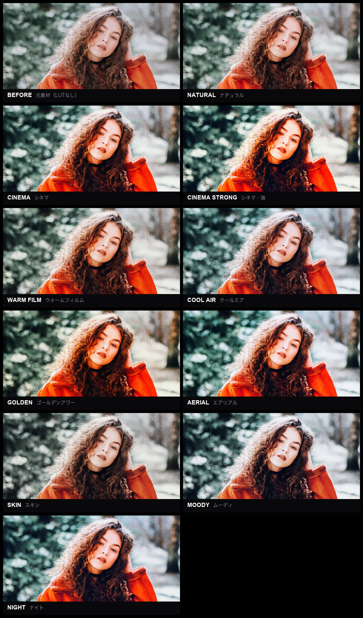 CINEMATIC LUT vol.1 のサンプル